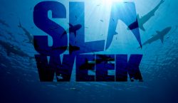 shark-week-SLA-Week
